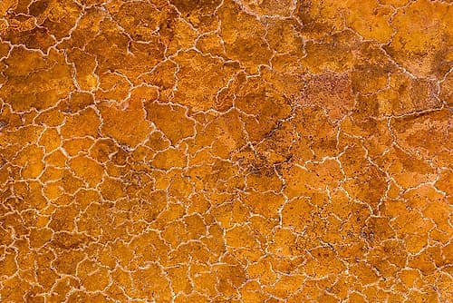 Africa-Tanzania-Aerial view of patterns of yellow algae and salt formations in shallow salt waters Art Print